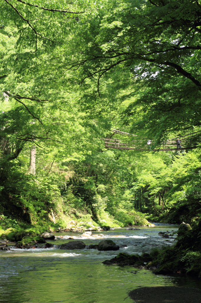 橋のある風景