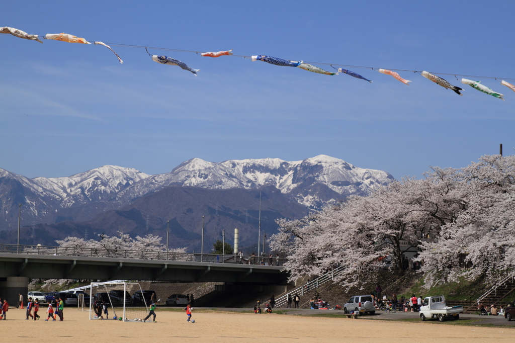 空飛ぶ鯉のぼり