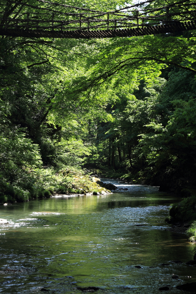 橋のある風景