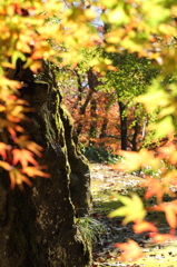 紅葉古道