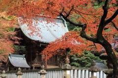 紅葉９