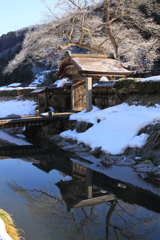 唐門と霧氷４