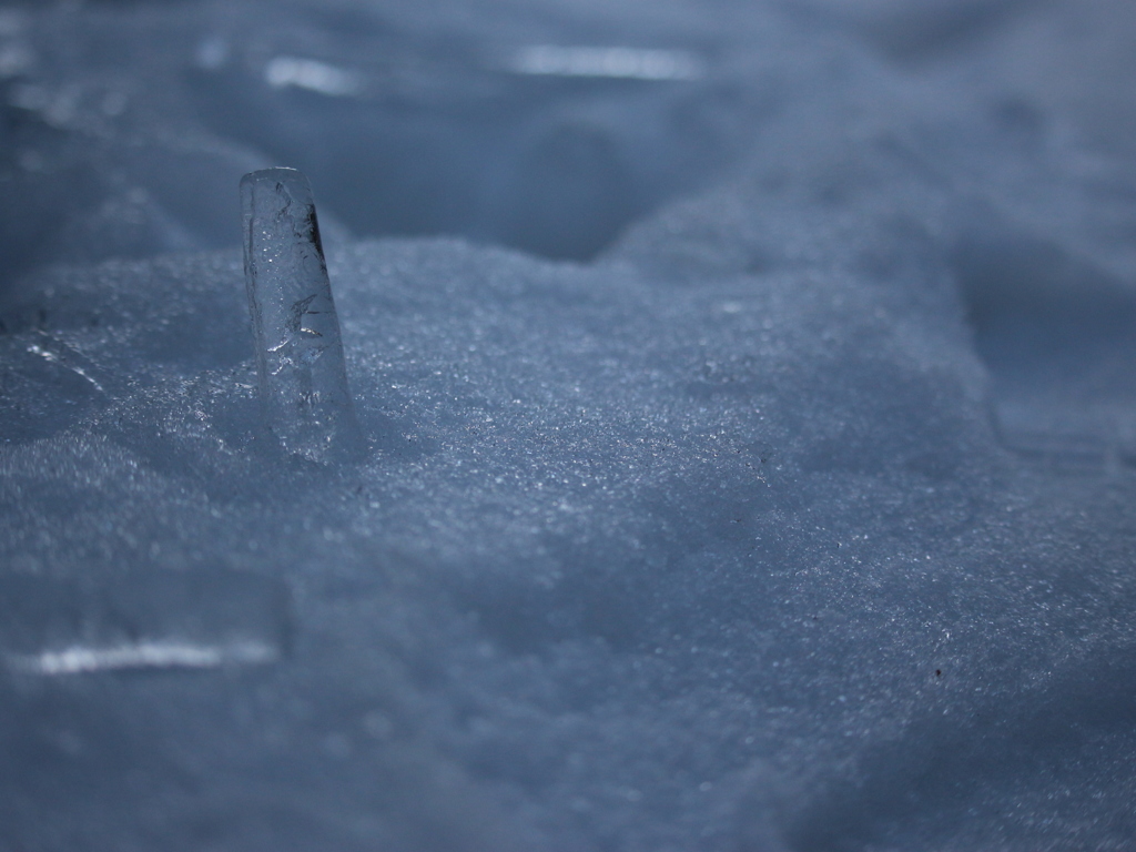 氷柱