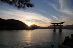 夕日の宮島鳥居