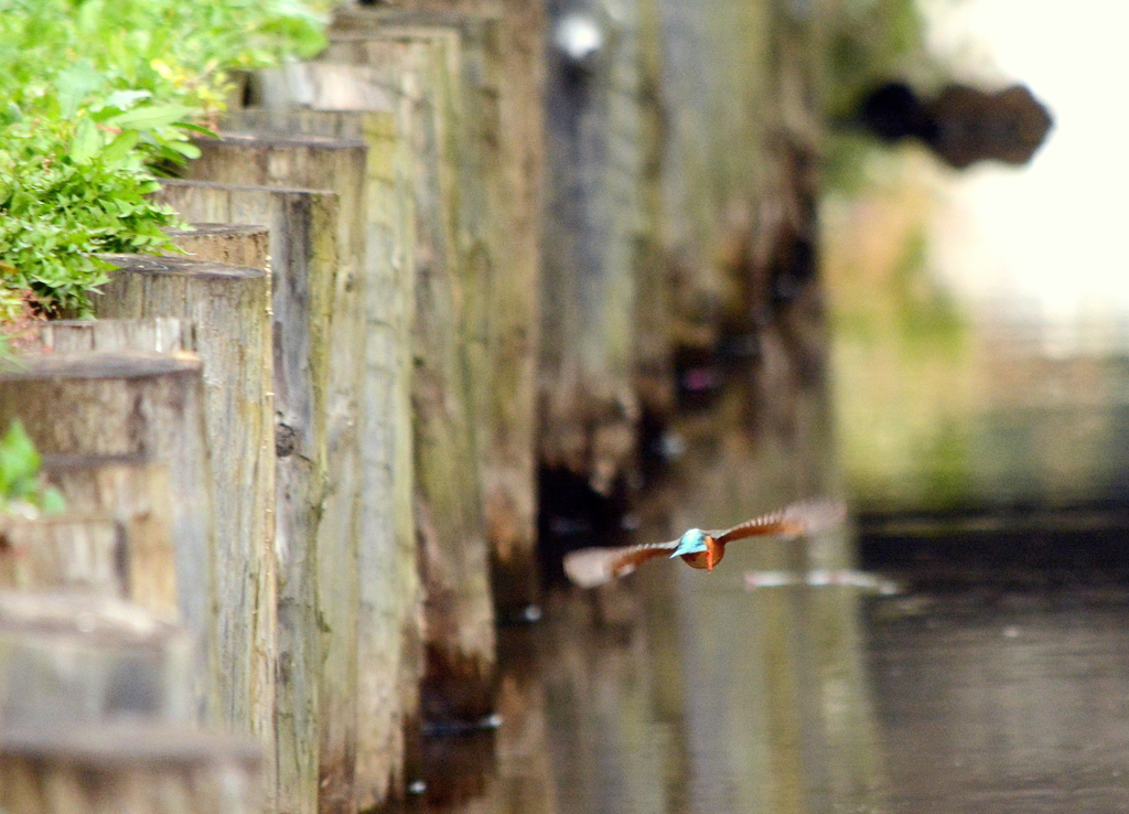 あ～～・・・・