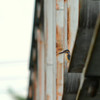 like a bungee Ⅰ