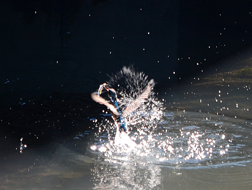 Splash 2-2