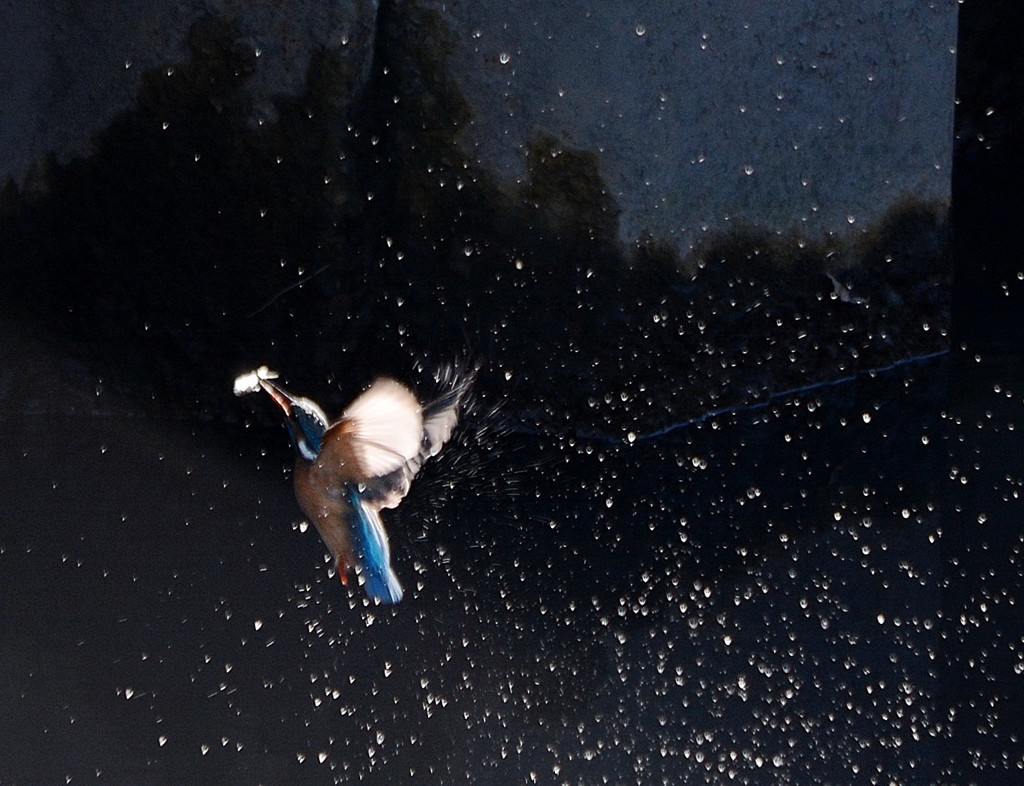 Splash 2-3
