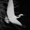 Take off　～モノクロ～