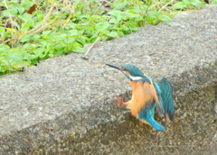 着地
