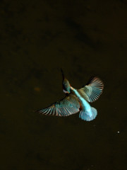 ISO250 ③