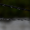 rain ~500mm~