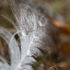 Nature Jewelry