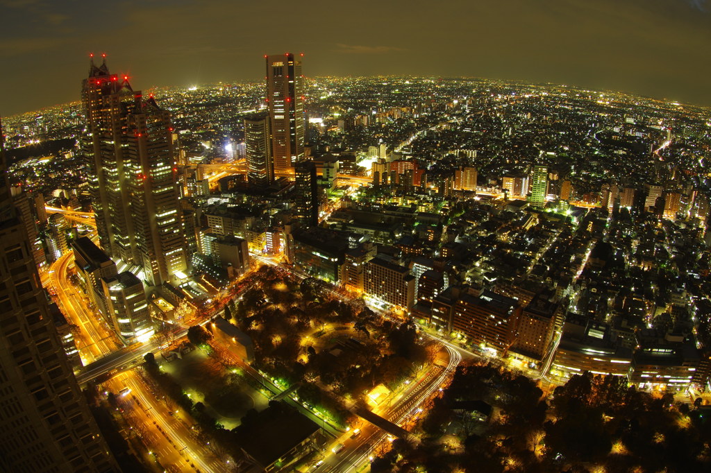 新宿の西側、夜