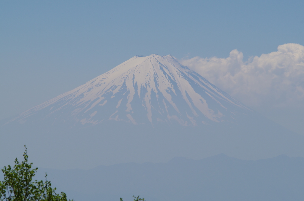 富士山from乙女高原