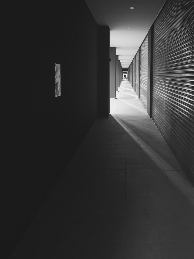 Corridor to the different world