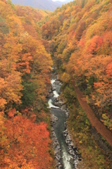 中津川渓谷の紅葉