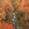 中津川渓谷の紅葉