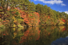 五色沼の紅葉