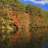 五色沼の紅葉