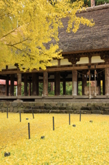 熊野神社長床