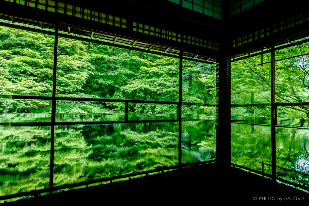 新緑の京-瑠璃光院-