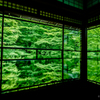 新緑の京-瑠璃光院-