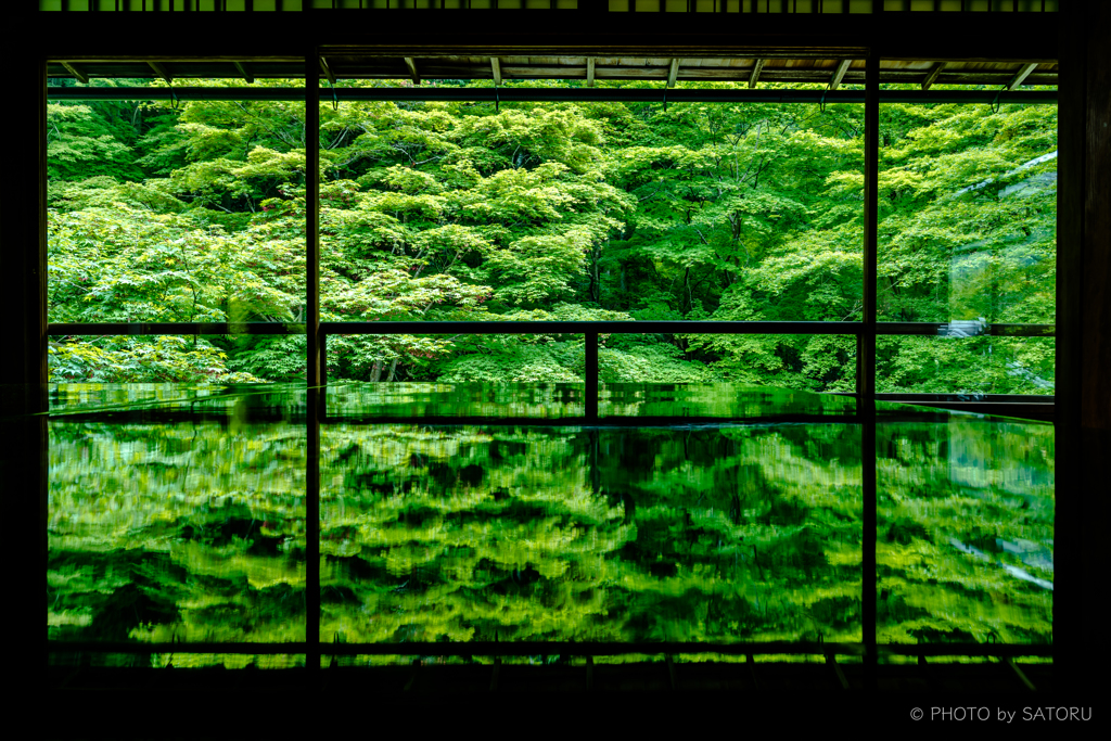 新緑の京-瑠璃光院-