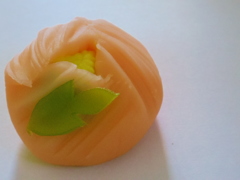 寒牡丹