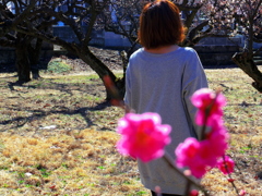 梅見