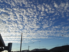 不思議な空