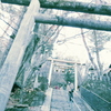鳥居