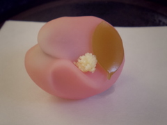 山茶花～サザンカ～