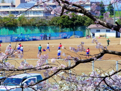 スポーツの春