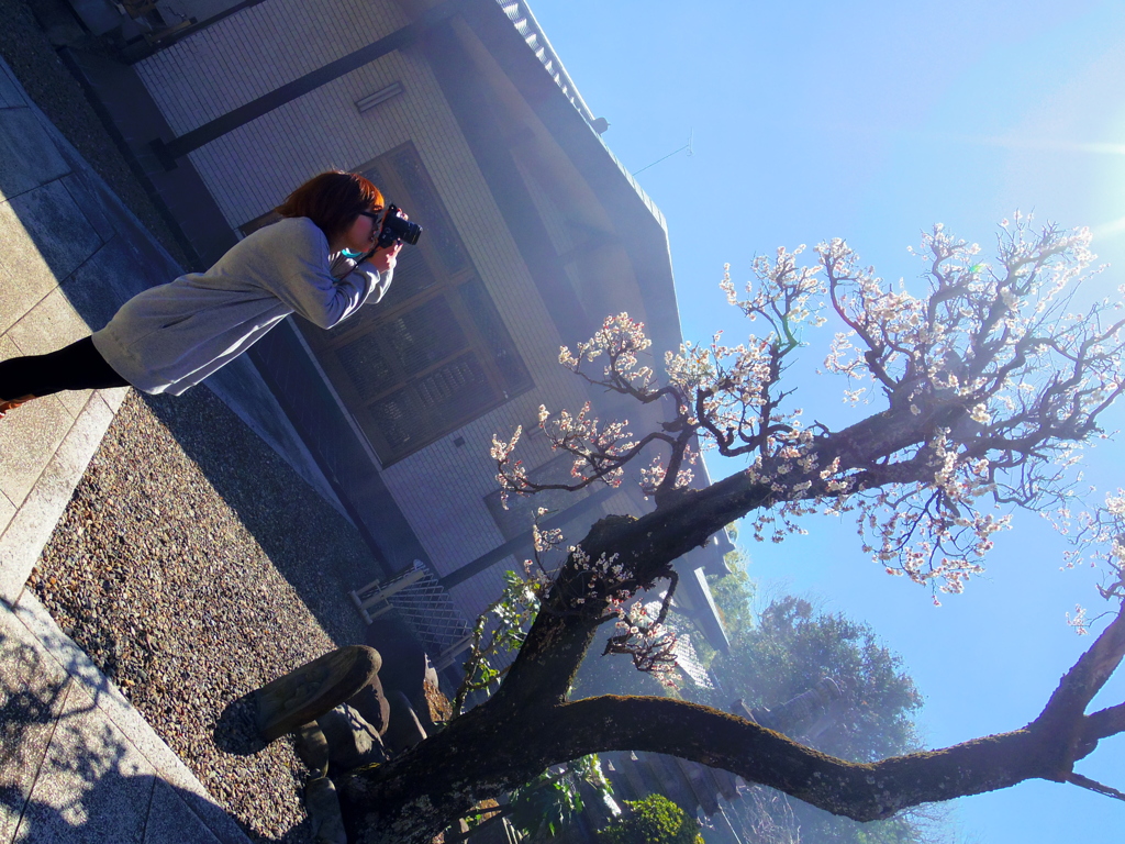 春を撮る～梅の花～