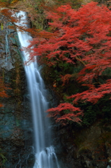 滝と紅葉と2