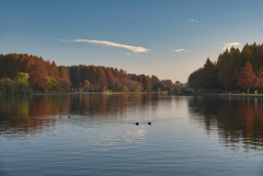 水元公園