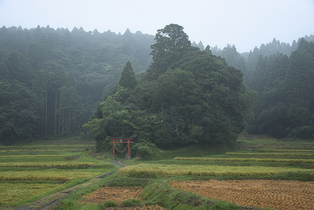 鎮守の杜