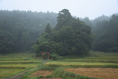 鎮守の杜
