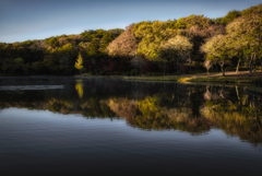 北山公園