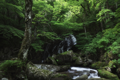 そうめんの滝（江竜田の滝）