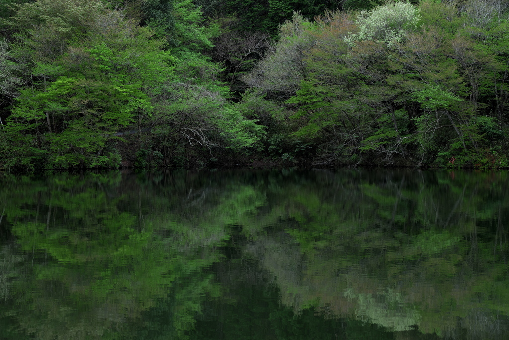 大郷戸ダム
