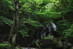 江竜田の滝（そうめんの滝）