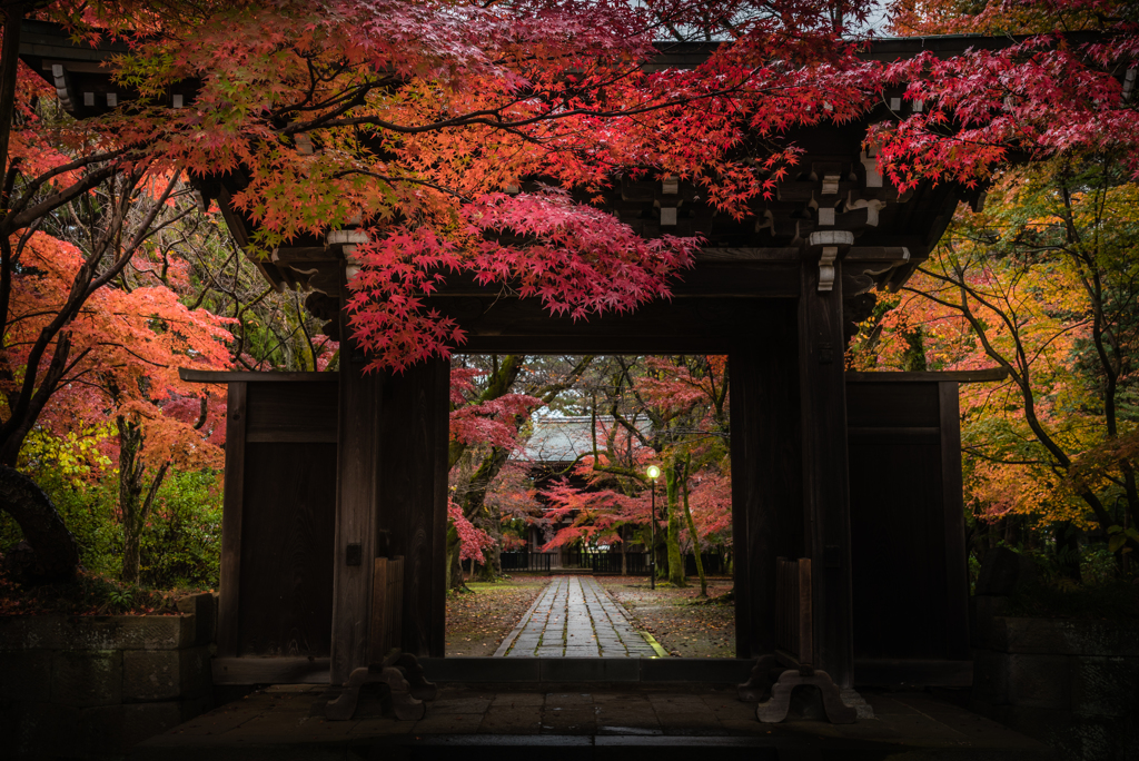 紅葉（東漸寺）