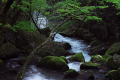滝山渓谷