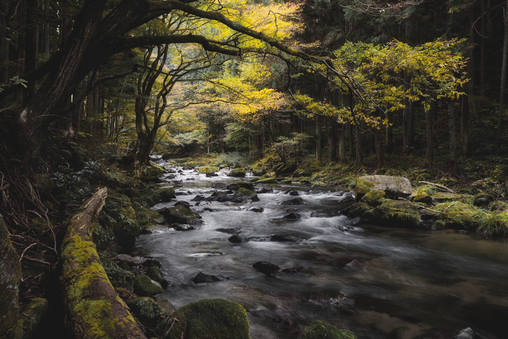 江竜田の滝２