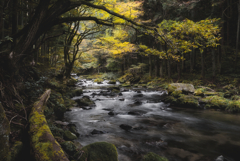江竜田の滝２