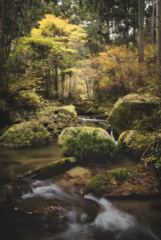 薄葉沢渓谷