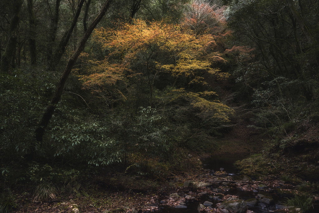 皇都川