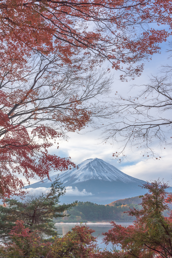 河口湖からの富士